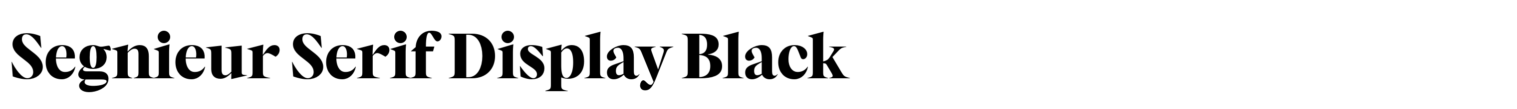 Segnieur Serif Display Black